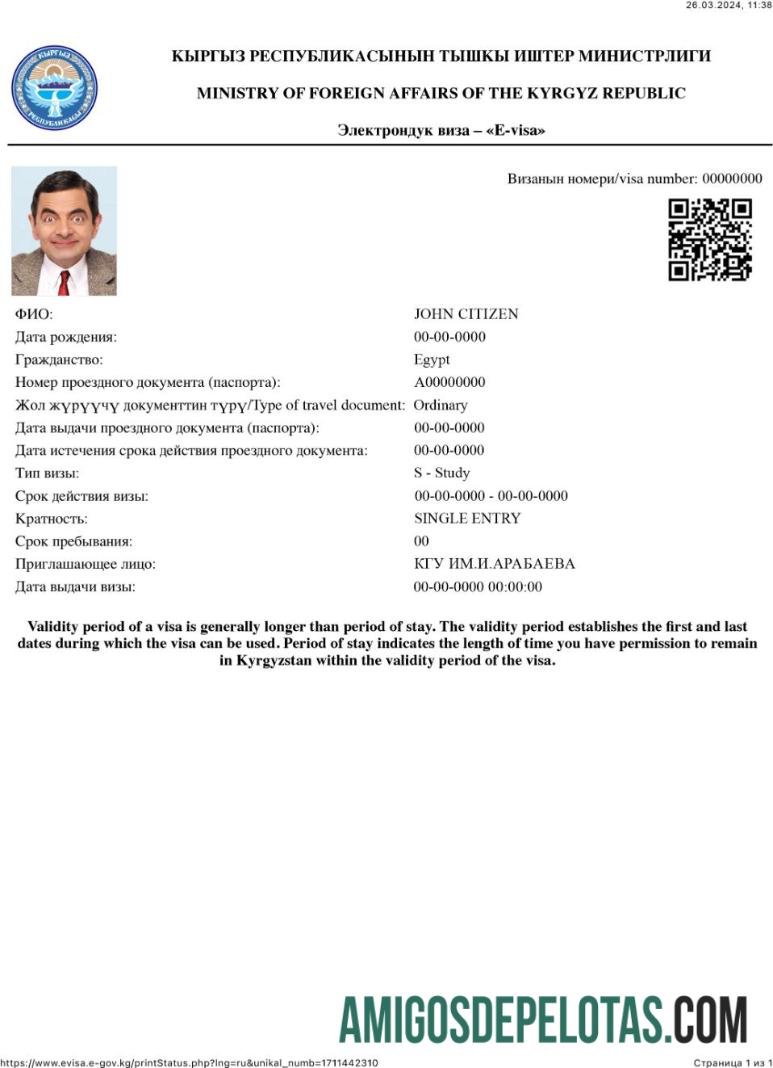 Visto E para a República do Quirguistão amostra